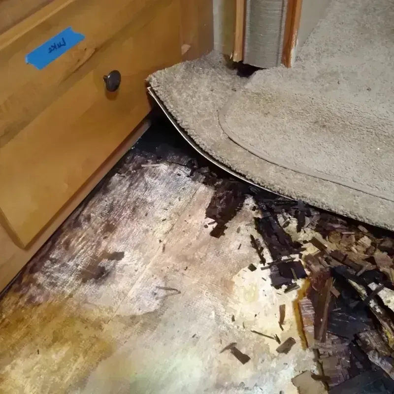 Wood Floor Water Damage in Charles Mix County, SD